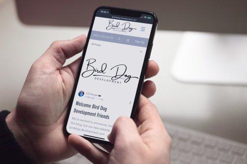 Bird Dog Development