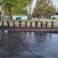 Homestead Gardens and Transport