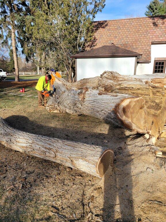 Elias Landscaping Services LLC
