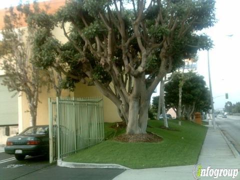 Wts Customs Brokerage