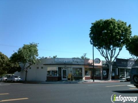 Pimp My Pooch Pet Spa