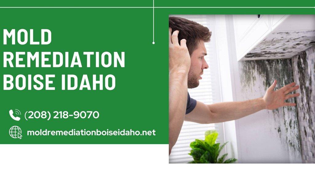 Mold Remediation Boise Idaho