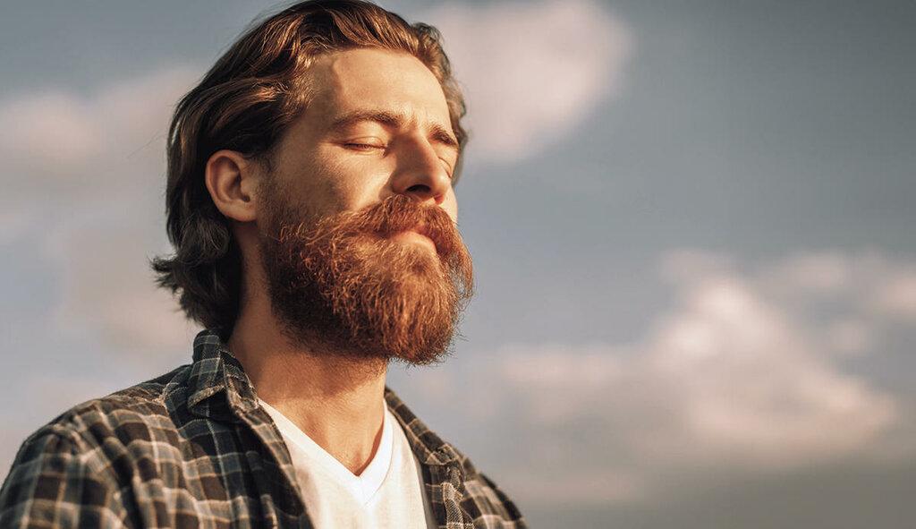 Teri Watts - The Sound Mind