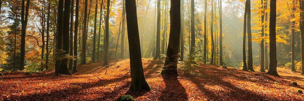 Because Touch Matters