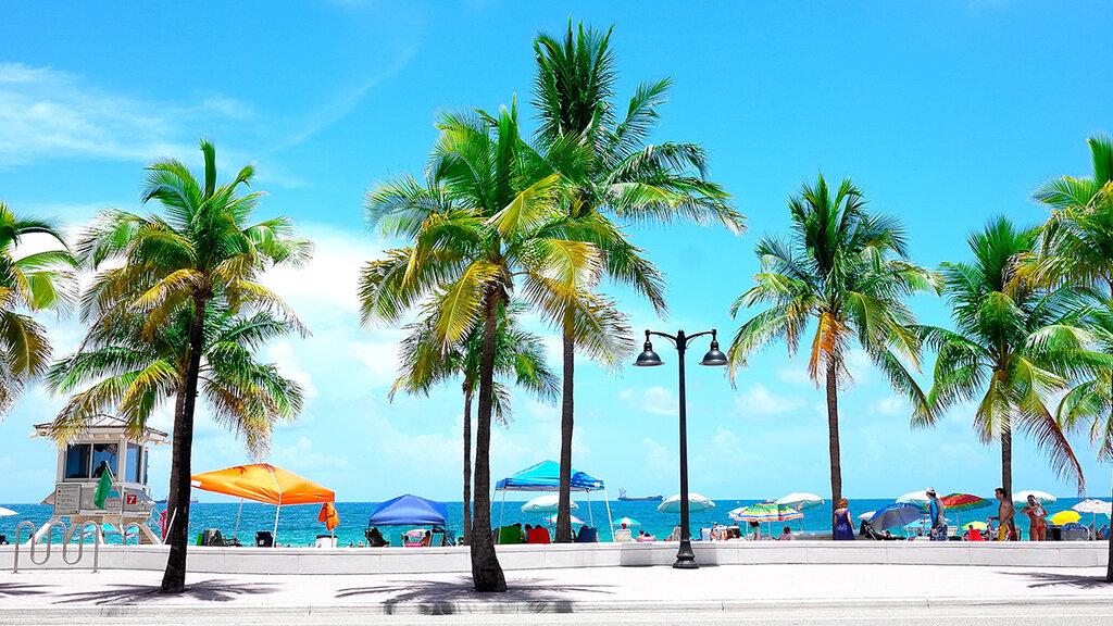 The Neutral Solution LLC