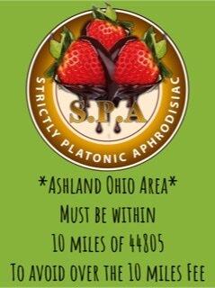 Strictly Platonic Aphrodisiac Cleaning Services LLC