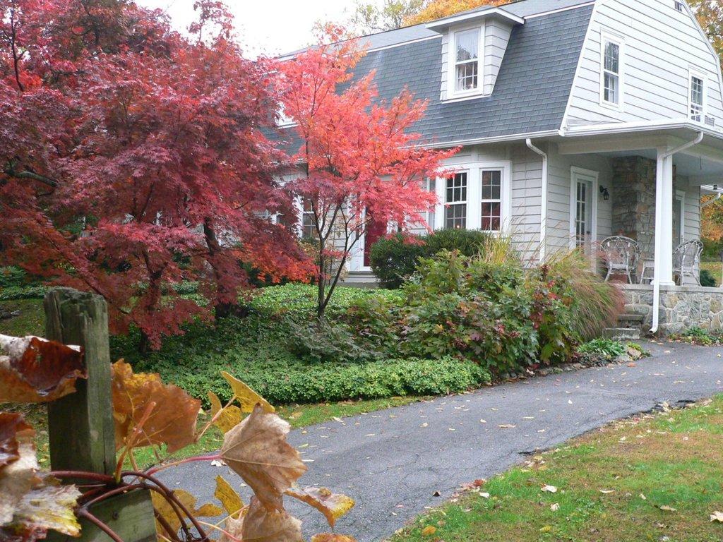 Dover Roofing Services