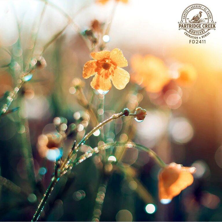 Partridge Creek Mortuary