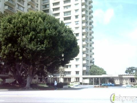 The Hollywood Trainer