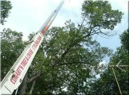 Cowart's Tree Removal