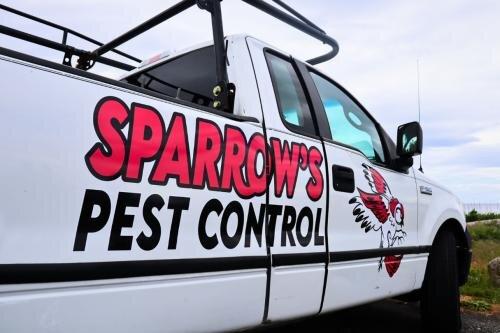 Sparrows Pest Control