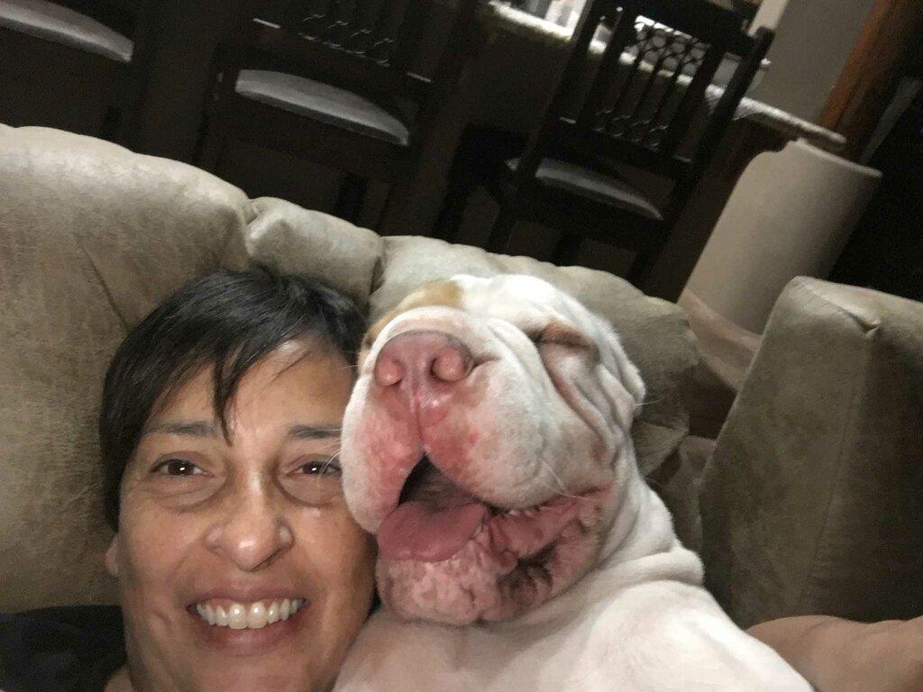 TLC Canine Reproduction Services LLC