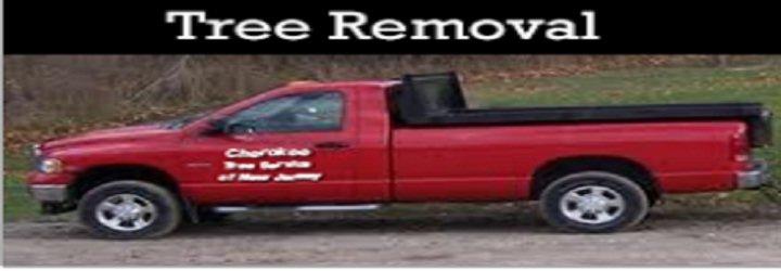 Cherokee Tree Service of NJ