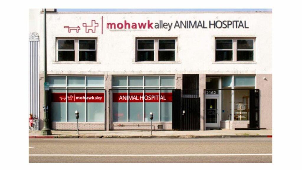 Sarina Pacifici-Mohawk Alley Animal Hospital