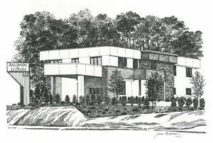 Salomon & Ludwin LLC