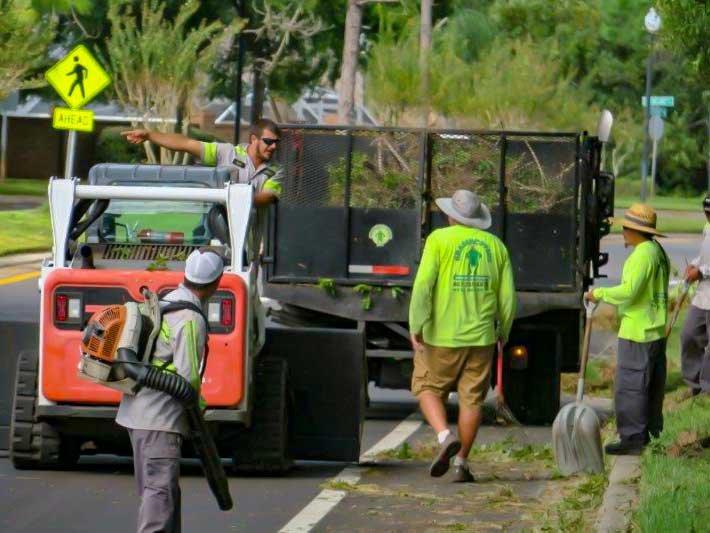 Windham's Grasshopper Lawn Services