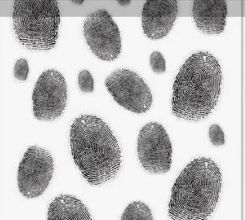 Trio Medical Solutions