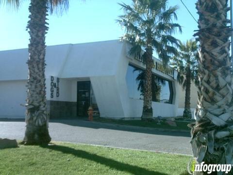 Lashay Haggard, DVM - West Flamingo Animal Hospital