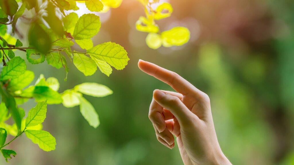 Nature Points Acupuncture