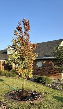 West Texas Pride Lawn Care