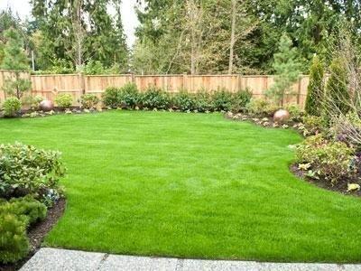 The Mosquito Authority