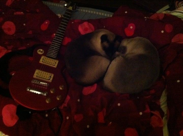 Little Button Studio Productions