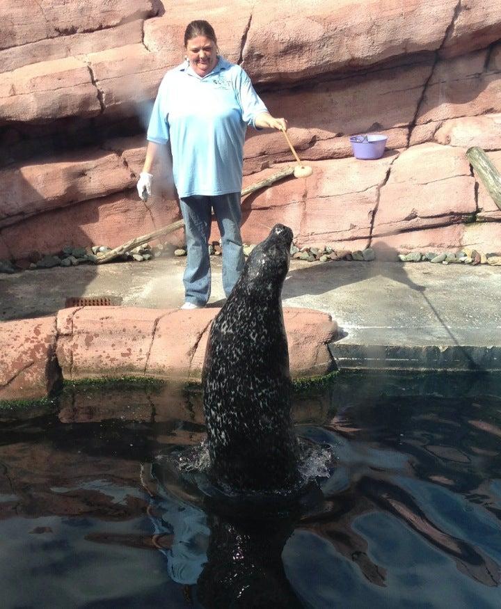 Huntsman Fundy Discovery Aquarium