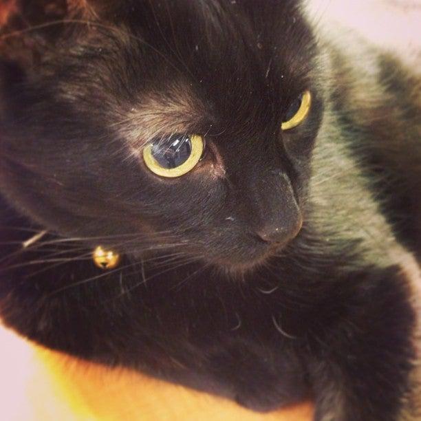 Lakeland Long Term Care