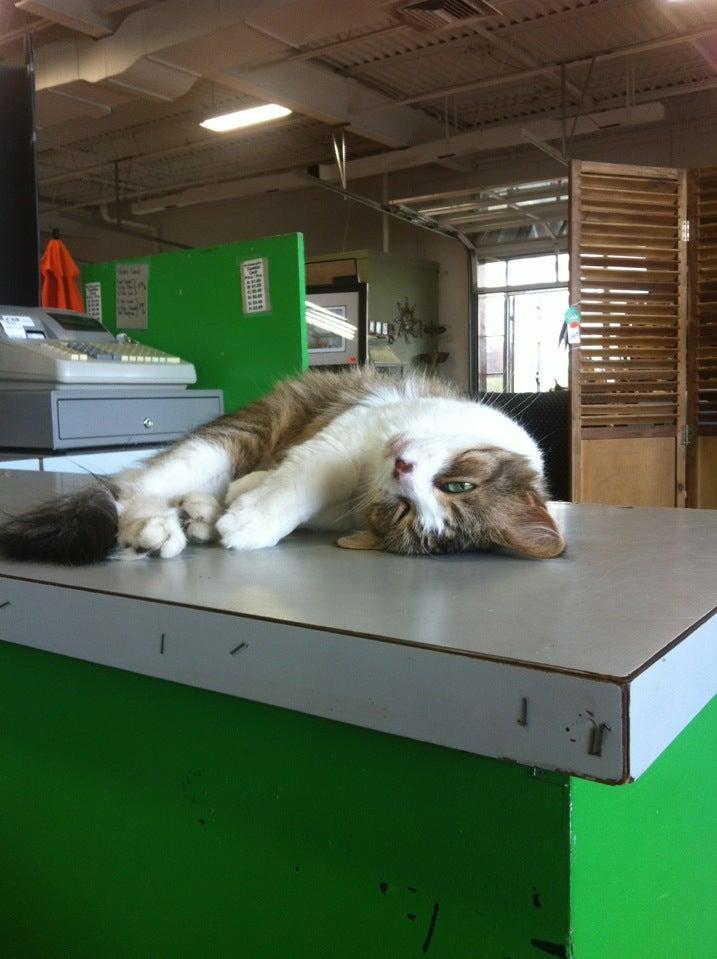 Norman's Garden Gallery