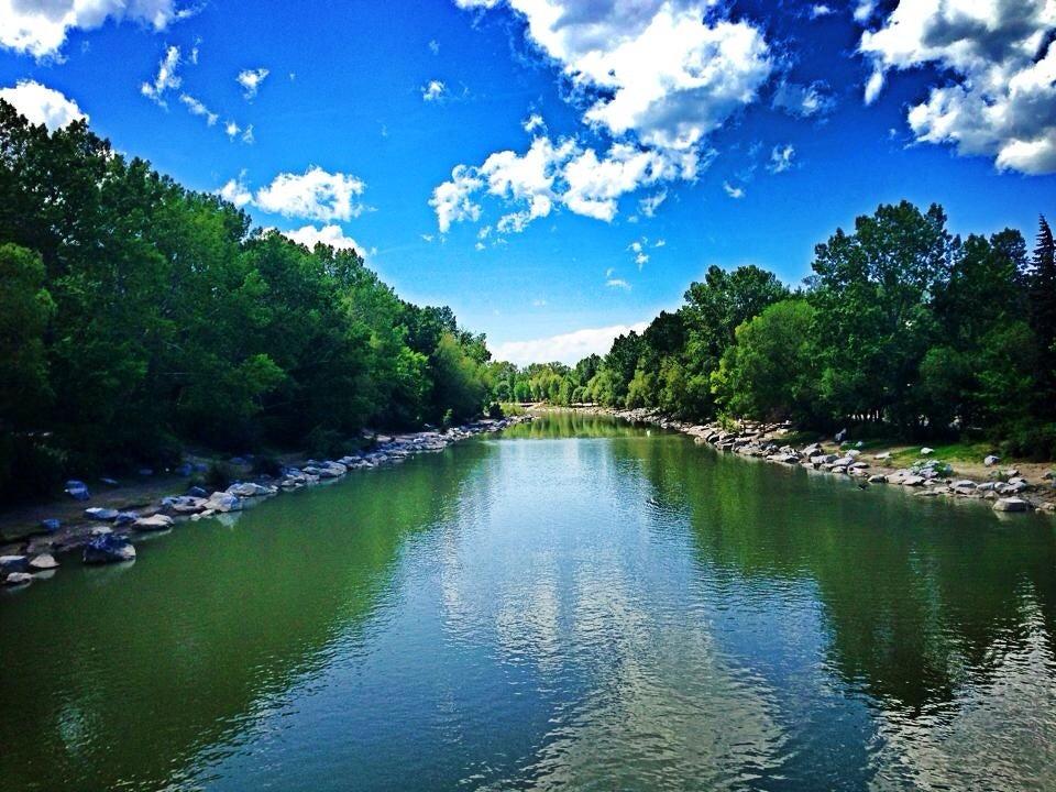 Memorial Peace Bridge Run