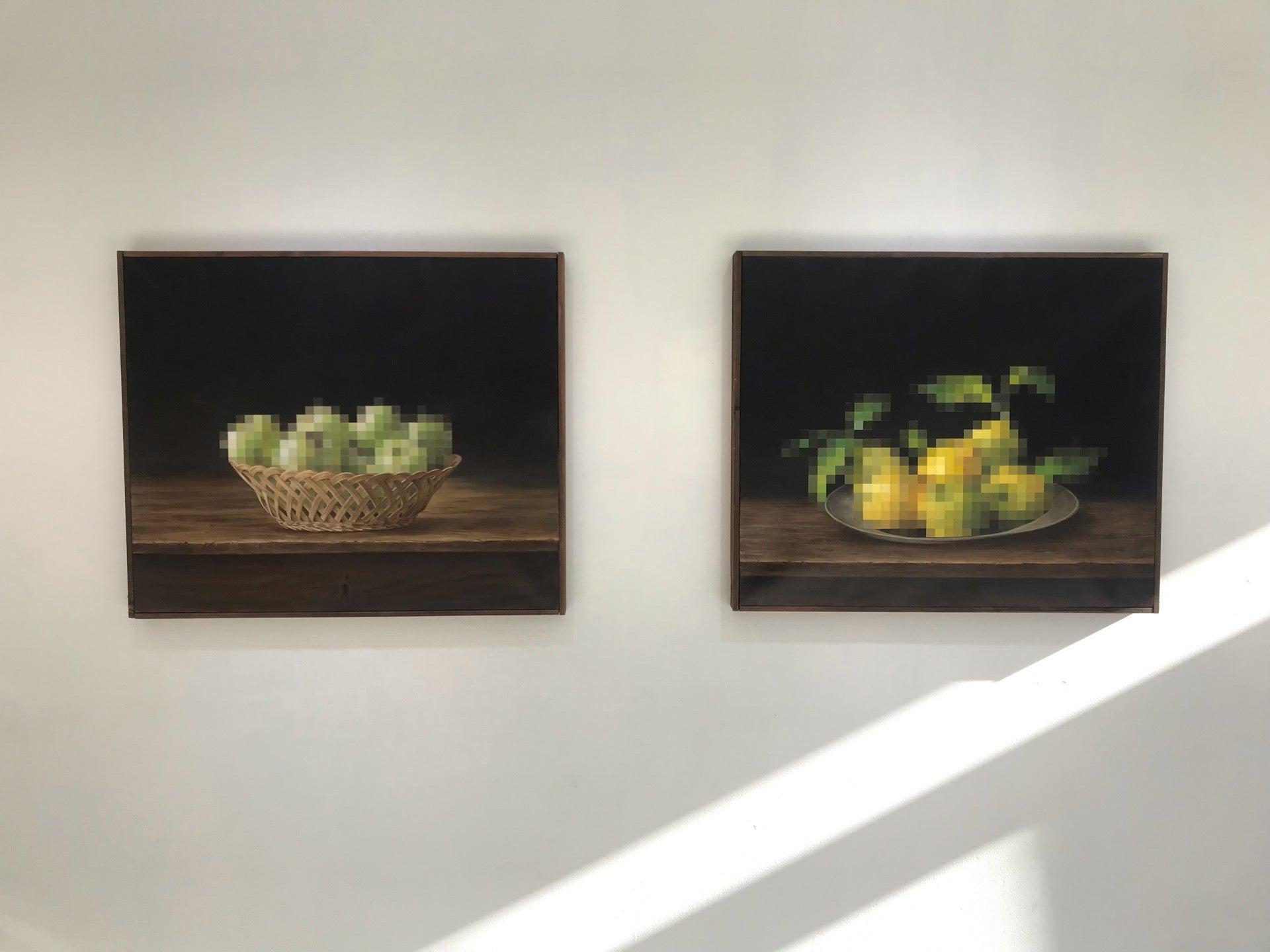 Galerie Coa