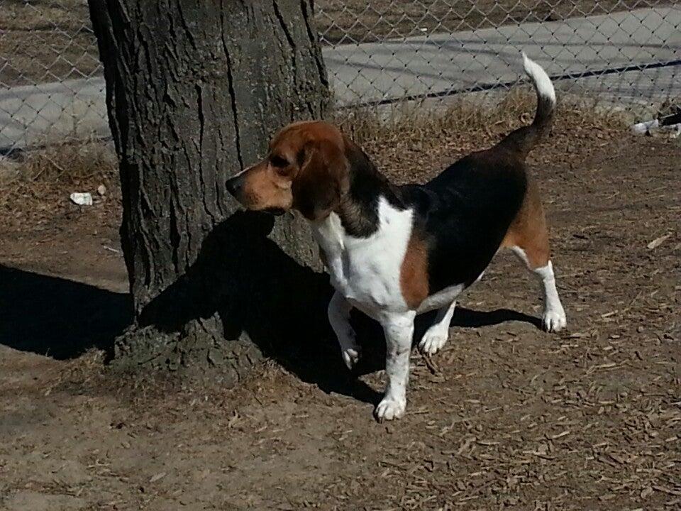 Driftwood Public School