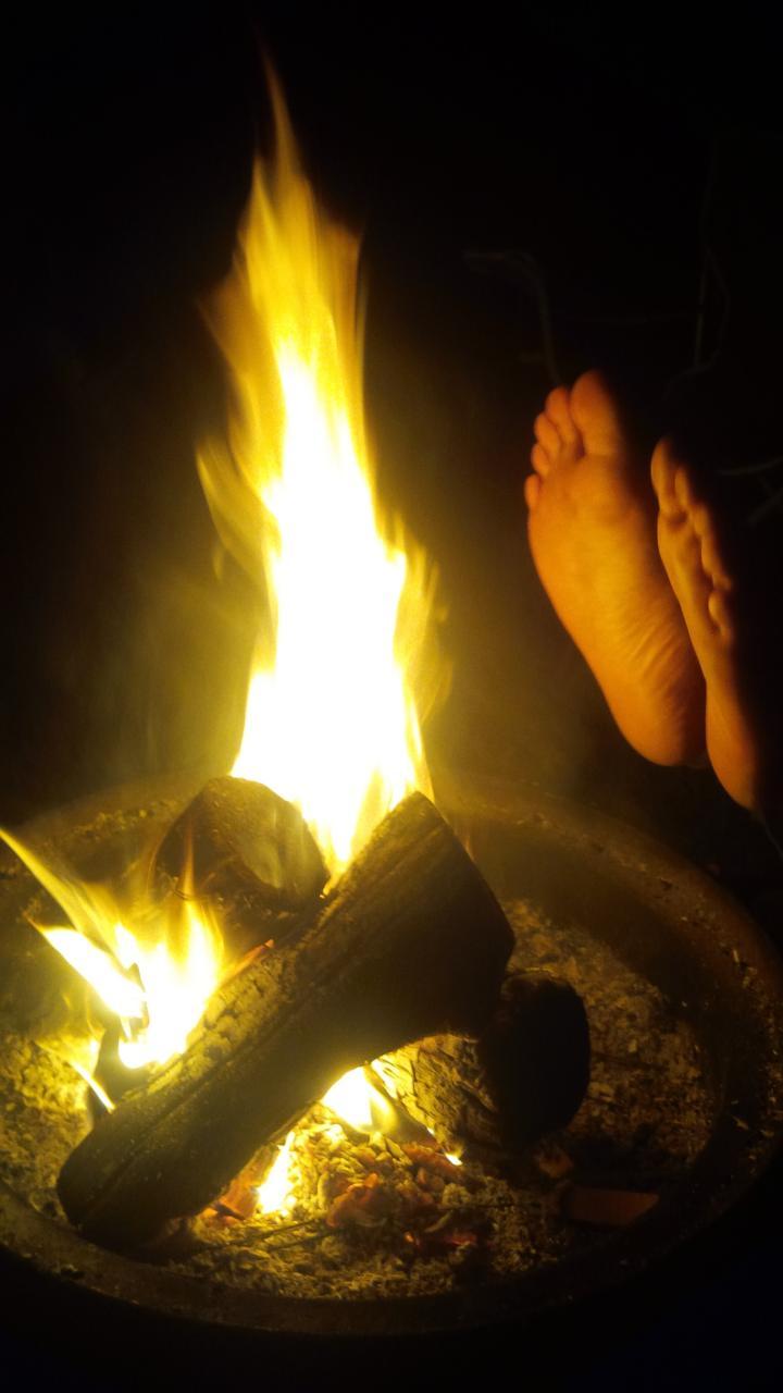 Saugeen Cedars Family Campground