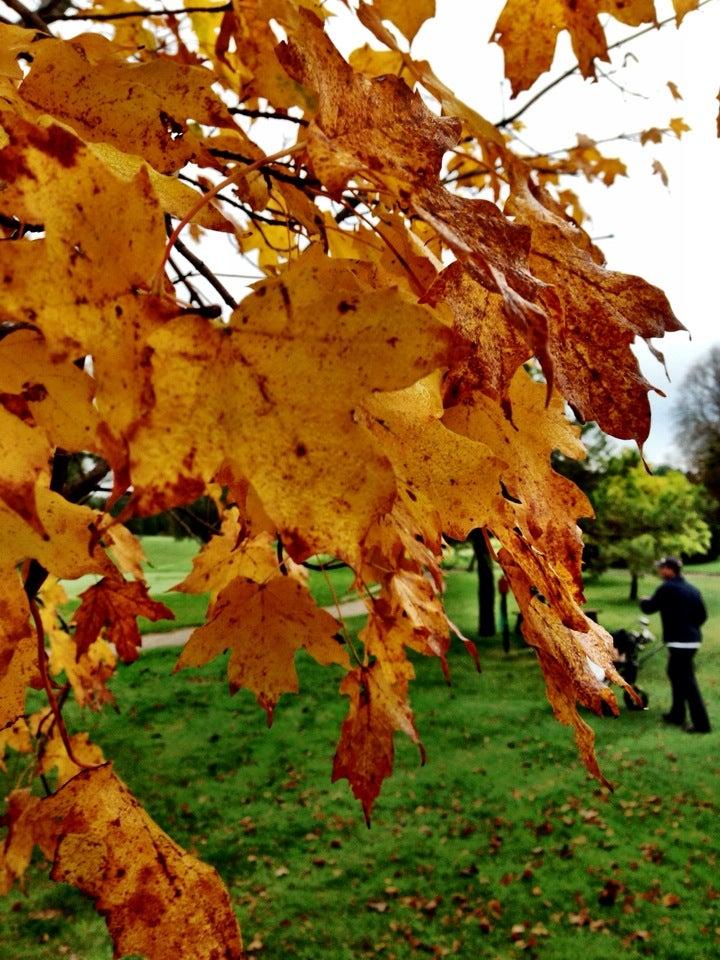 Victoria Park East Golf Club