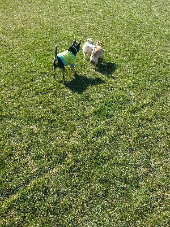 King an Dufferin Medical Center