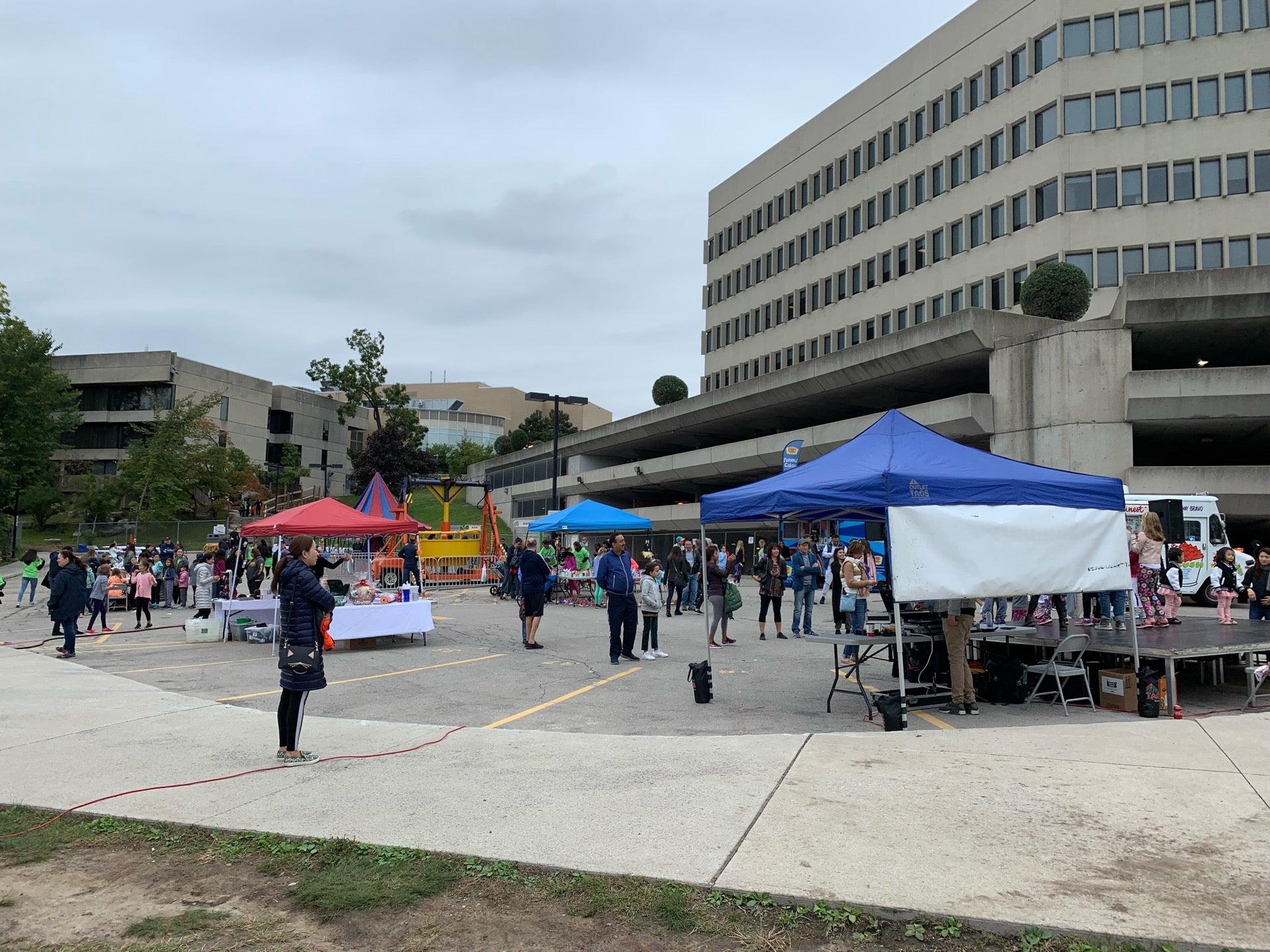 Bayview Glen School Turf
