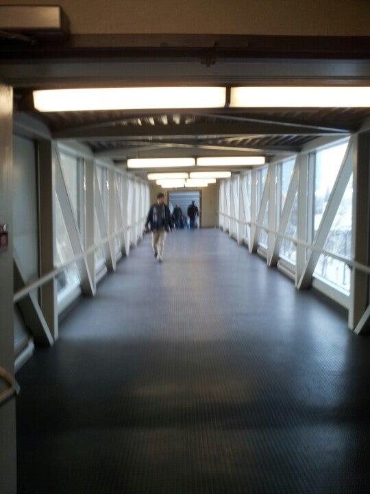 Skybridge Marketing Group