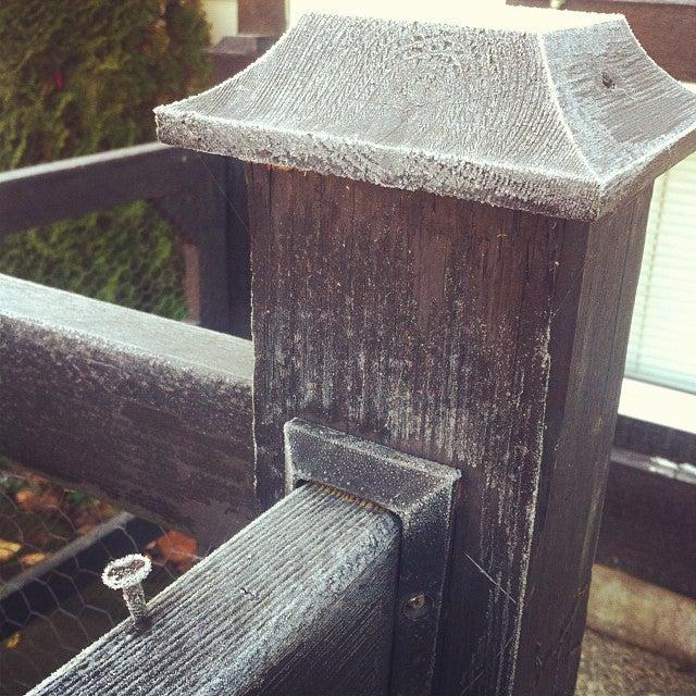 In Your Pocket Media