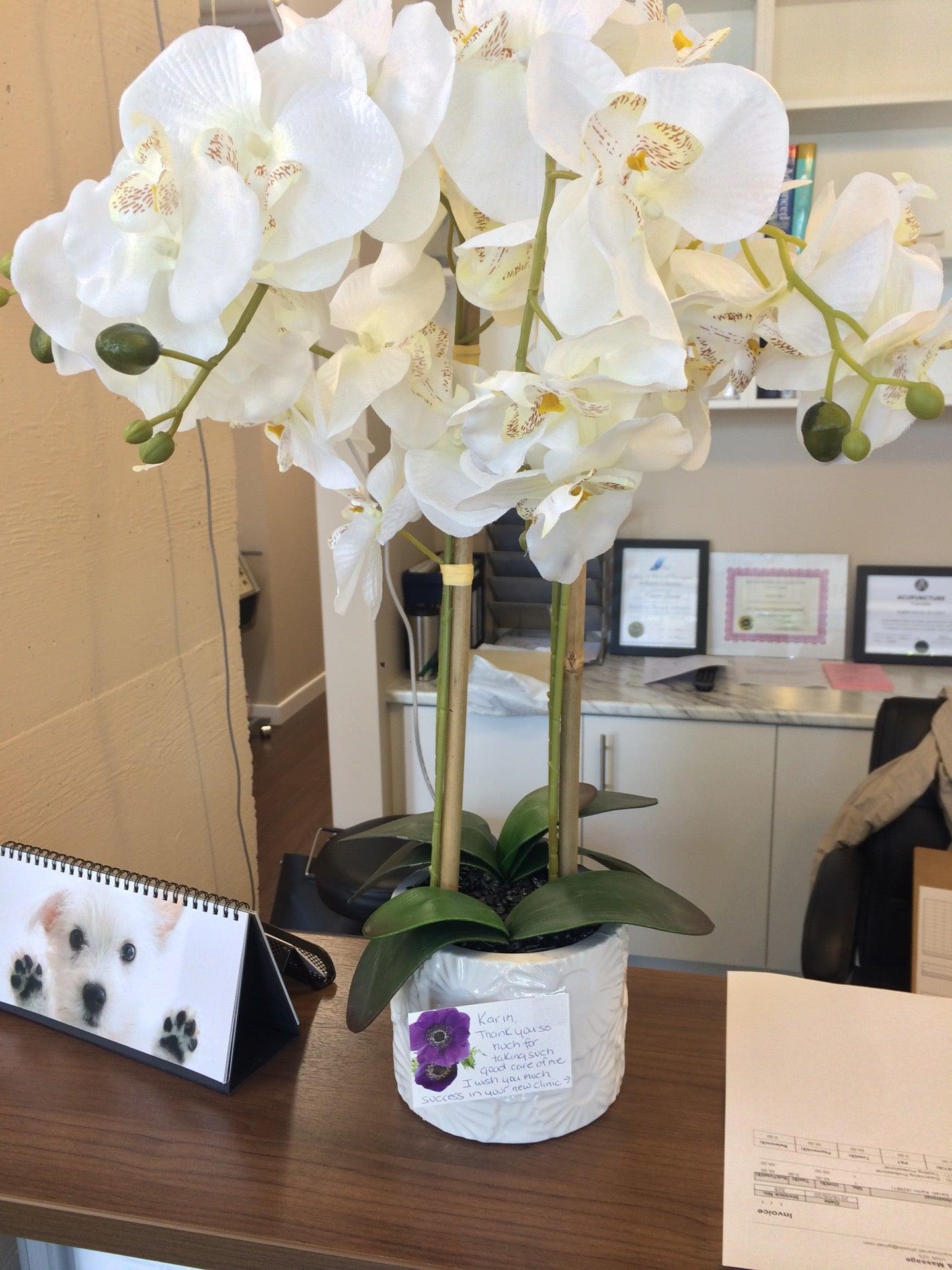 Activ8 Physio Massage