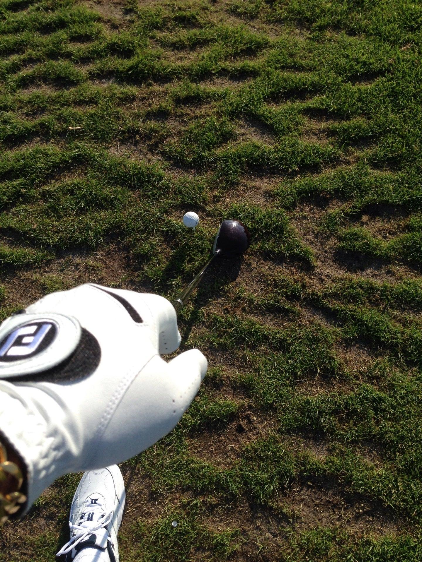 Heron Landing Golf Club