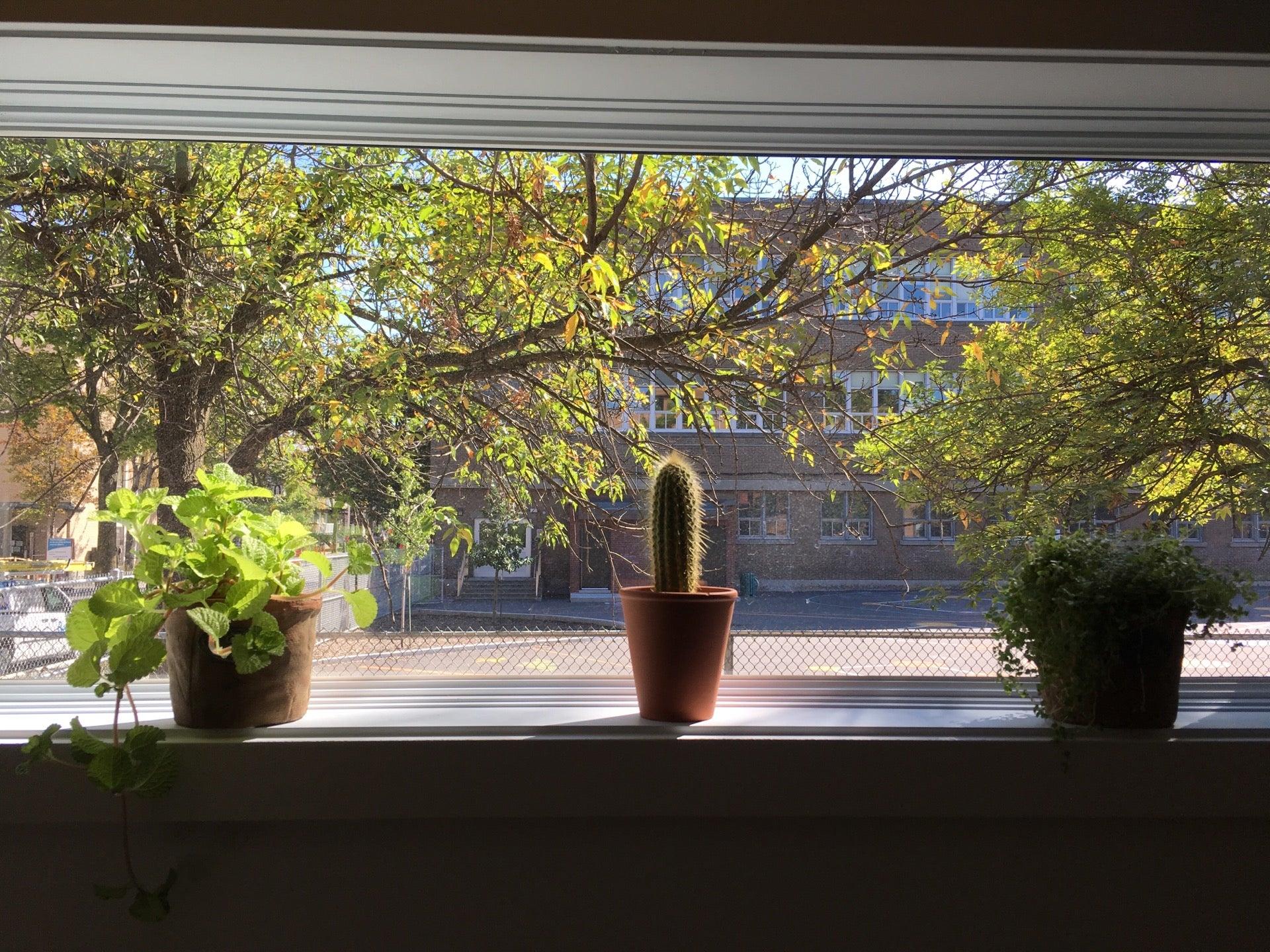 Le Jardin de Mathilde