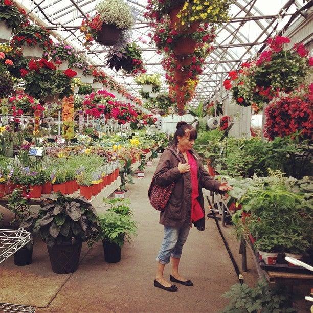 Jardiniere du Nord ENR