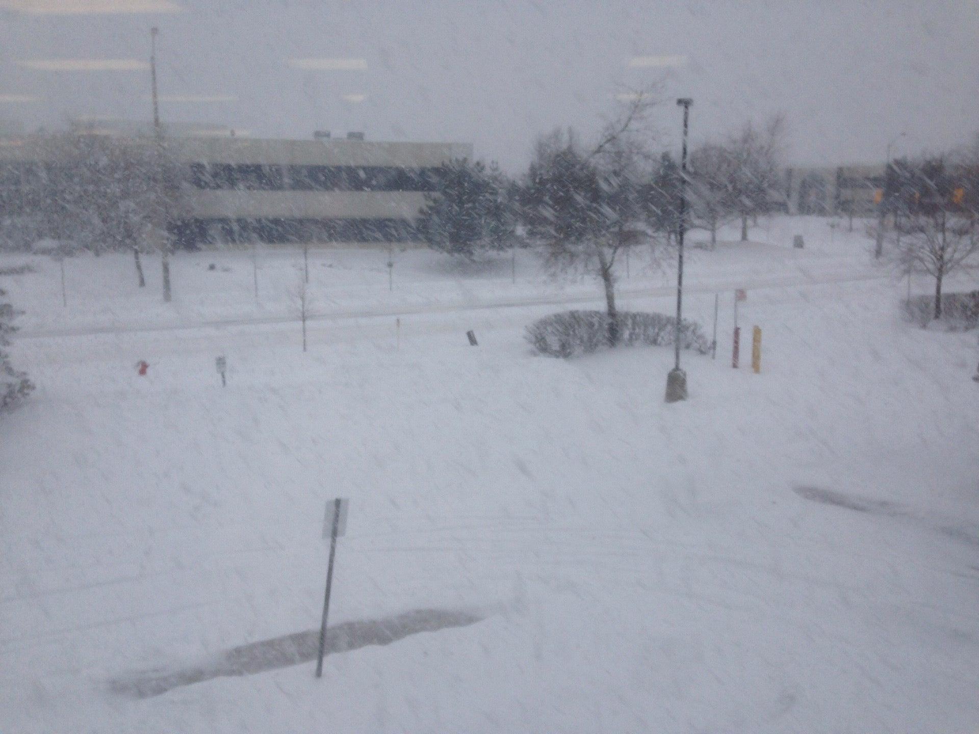 Loblaw Matheson Office