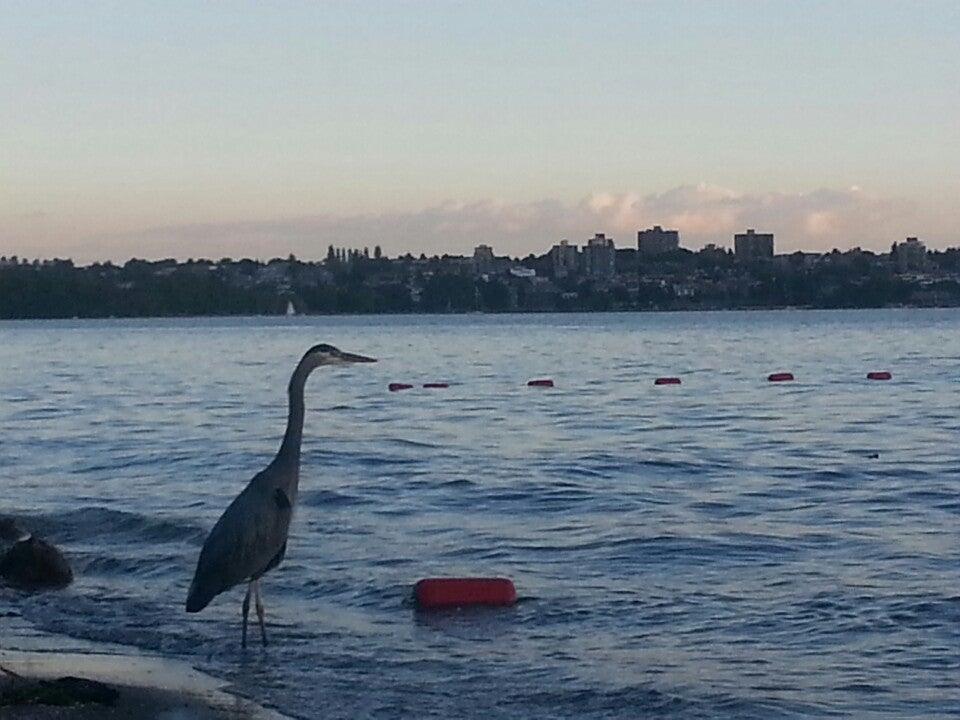 Stanley Park English Bay Seawall