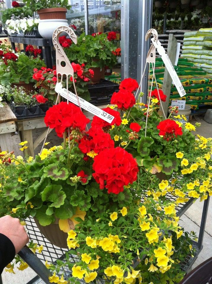 Walter's Greenhouses and Garden Centre