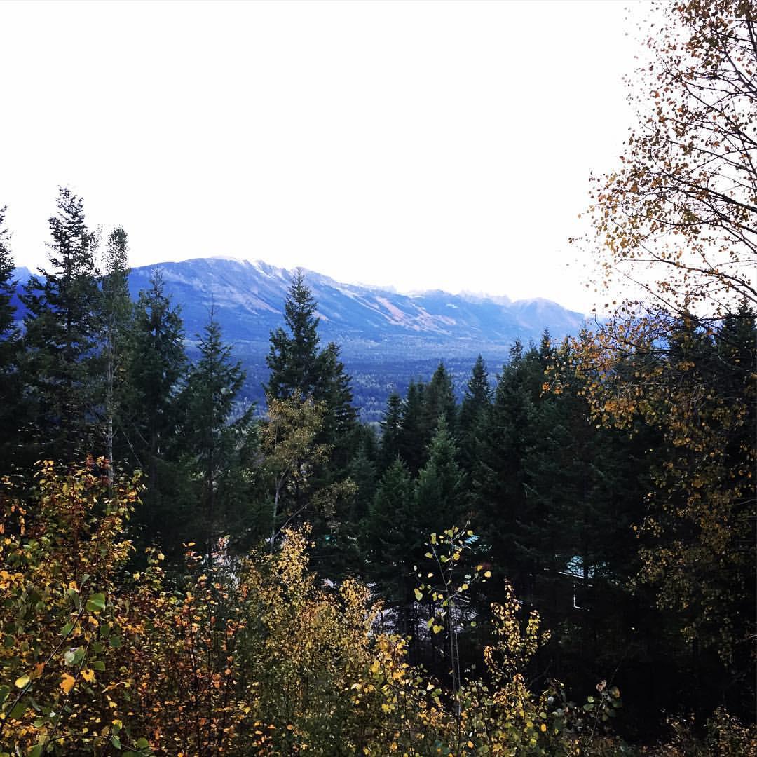 Cedar House Restaurant