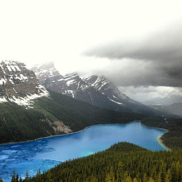 Lake Peyto