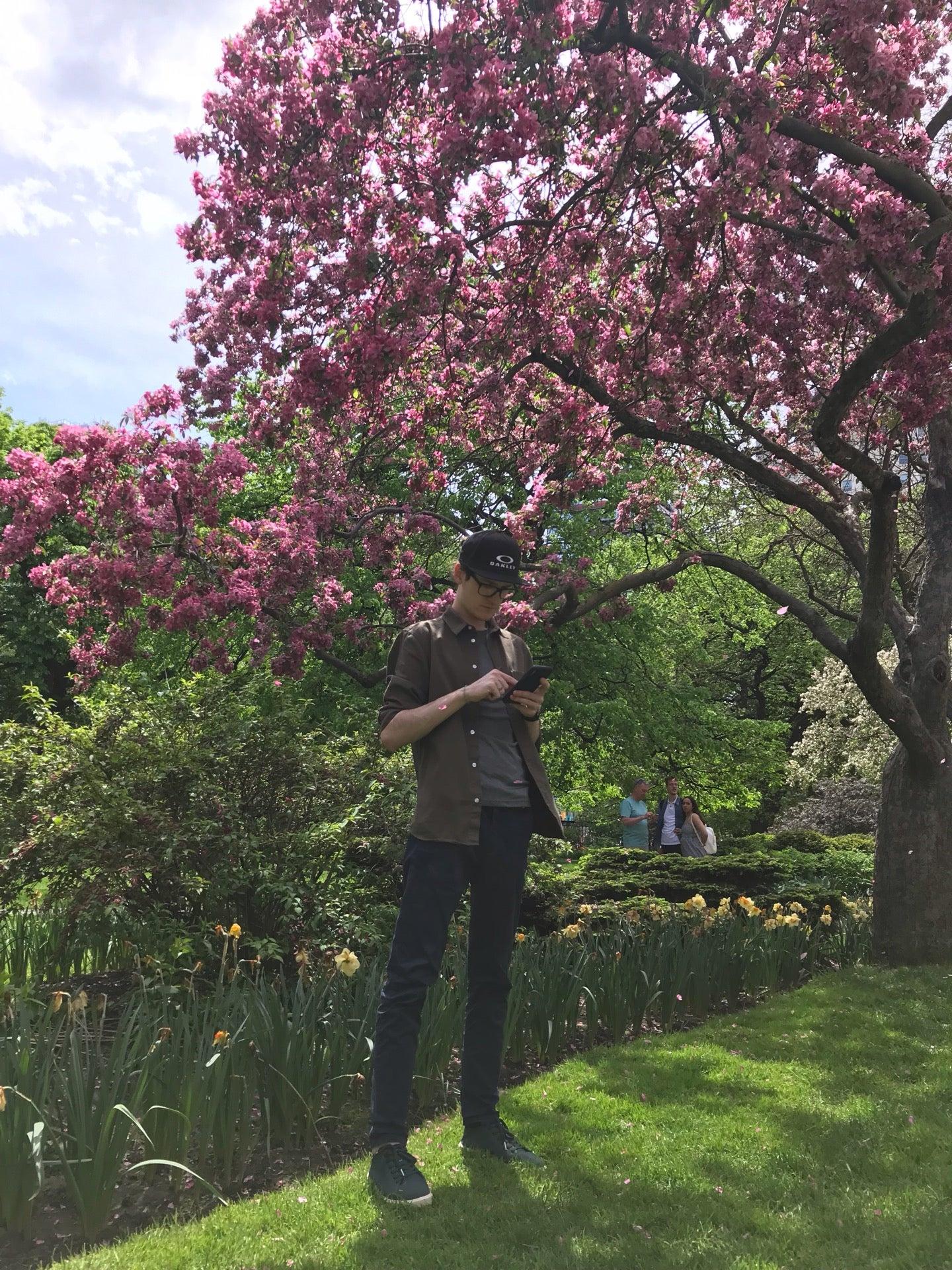 Toronto Peace Garden