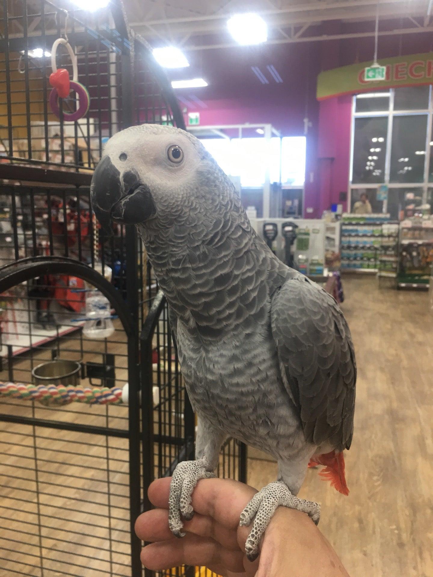 Petland