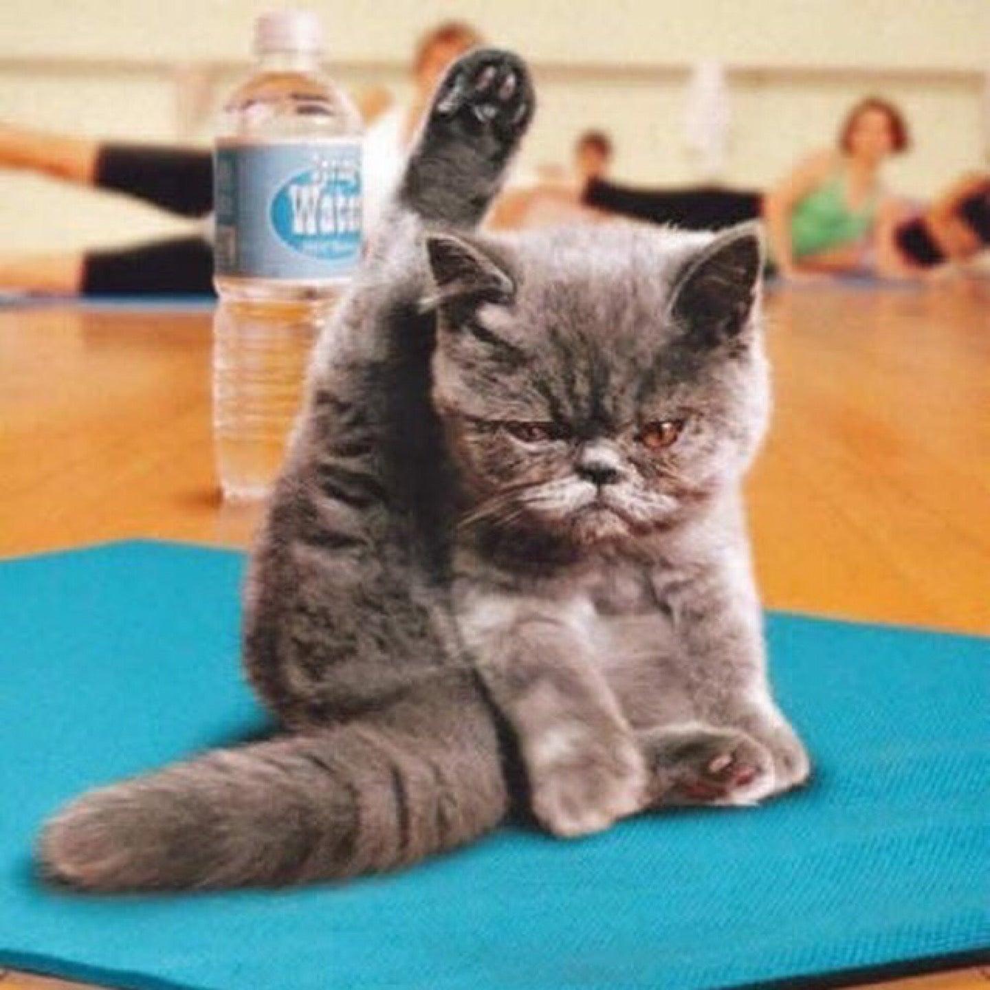 Specifik Performance